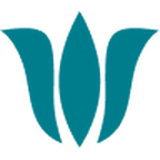 Vanity Soul logo