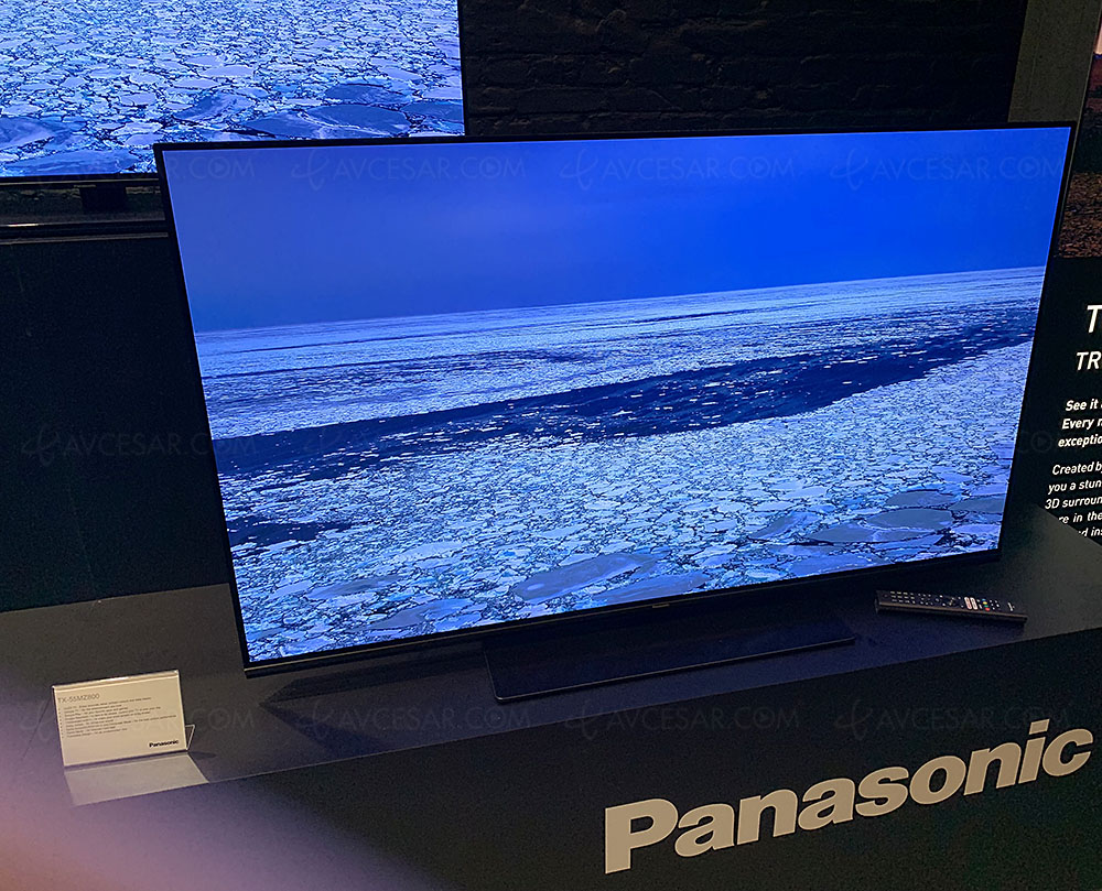 Panasonic MZ800 55"